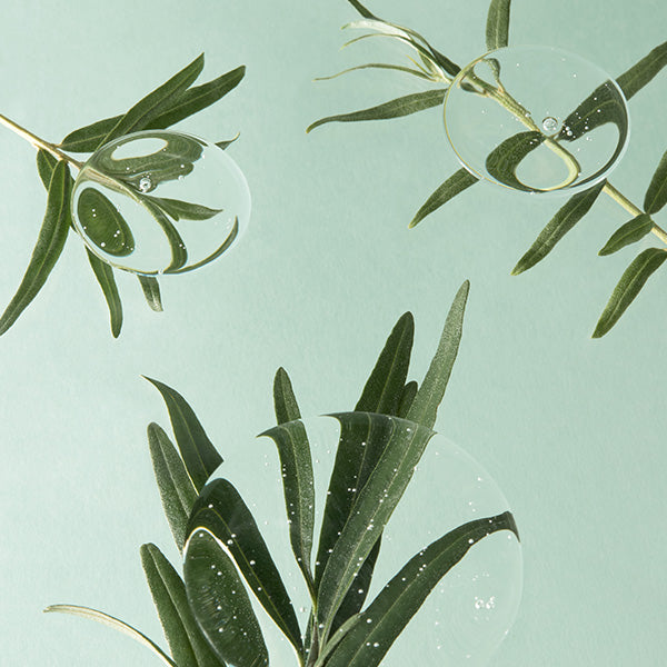 [ImFrom] Vitamin Tree Sheet Mask 22 ml